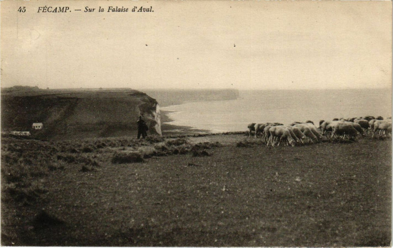 Carte postale ancienne Fecamp-Sur la Falaise d'Aval à Fécamp