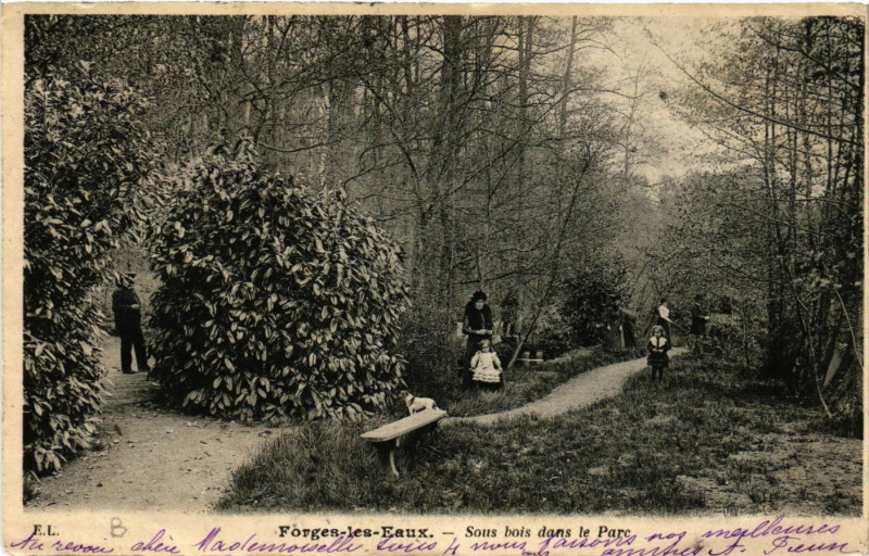 Carte postale ancienne Forges-les-Eaux Sous bois dans le Parc à Forges-les-Eaux