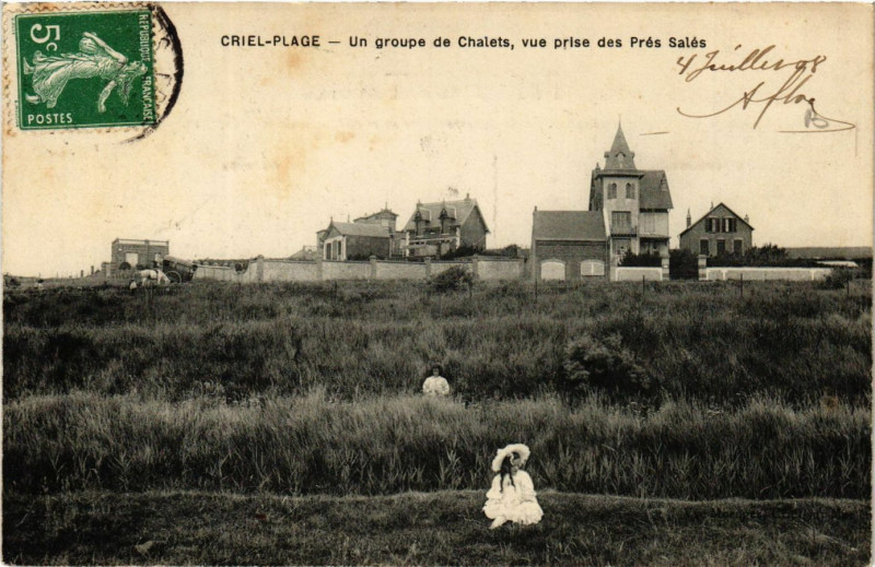 Carte postale ancienne Criel-Plage Un groupe de Chalets vue prise des Pres Sales