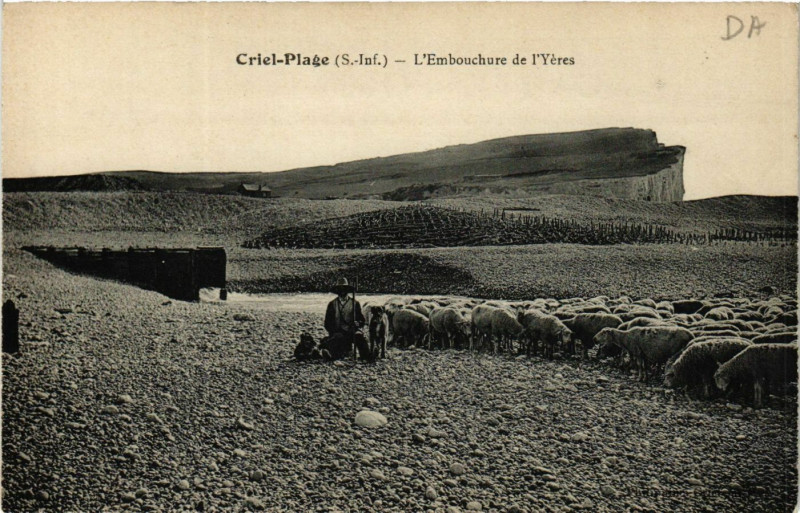 Carte postale ancienne Criel-Plage L'Embouchure de l'Yeres