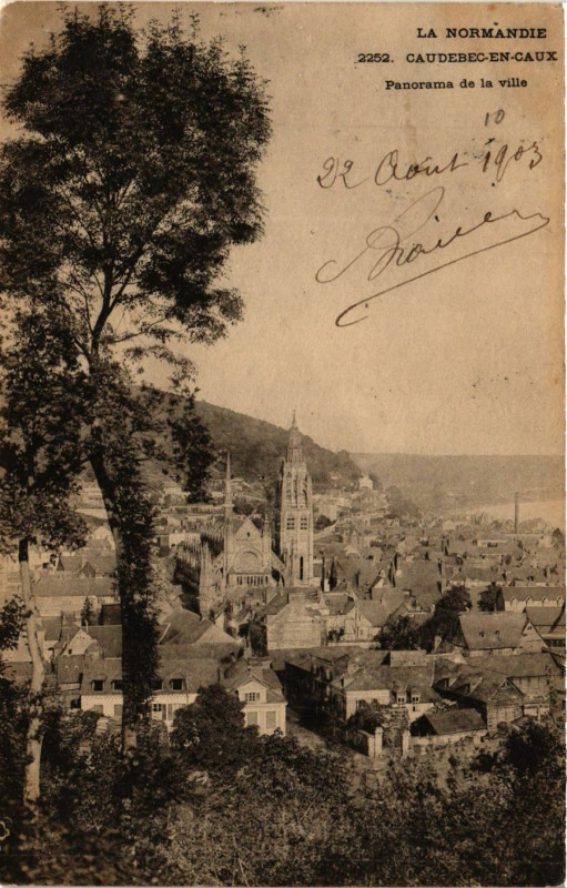 Carte postale ancienne Caudebec en Caux-Panorama de la Ville