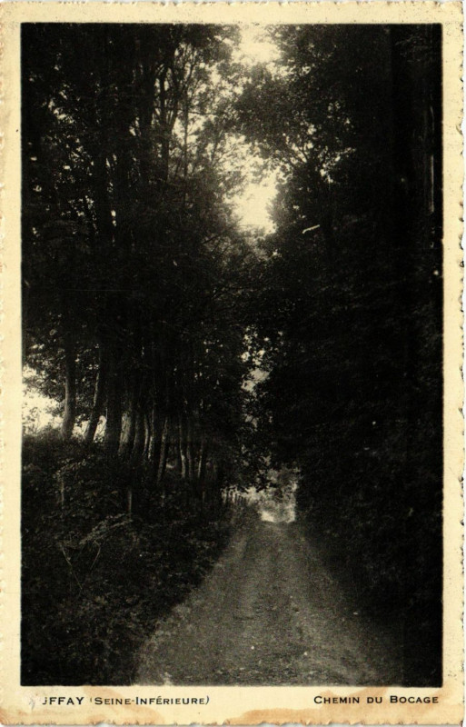Carte postale ancienne Auffay-Chemin du Bocage