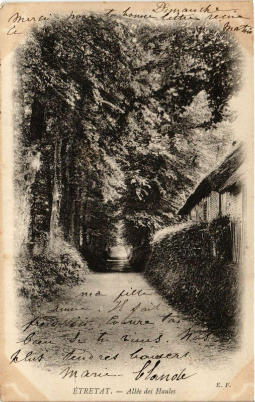 Carte postale ancienne Etretat-Allée des Haules à Étretat