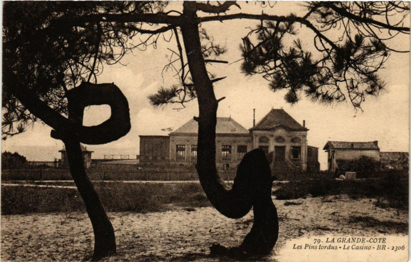 Carte postale ancienne La Grande Cote-Les Pins tordus-Le Casino