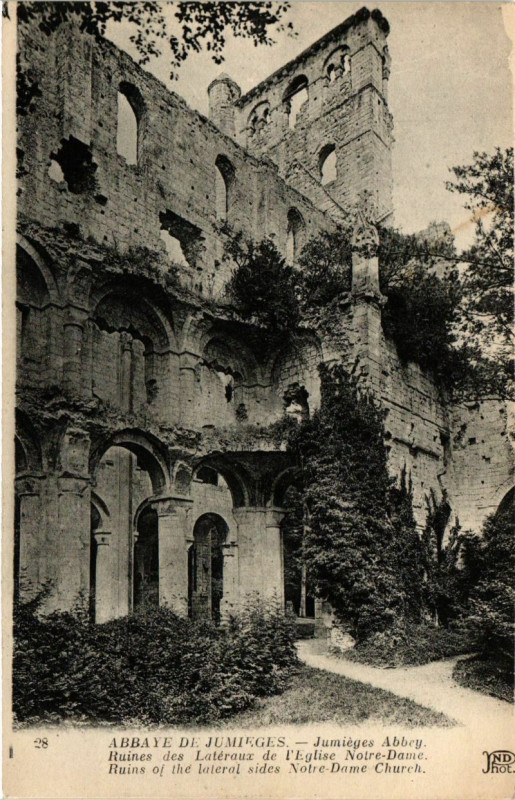 Carte postale ancienne Abbaye de Jumieges-Ruines des Lateraux de l'Eglise