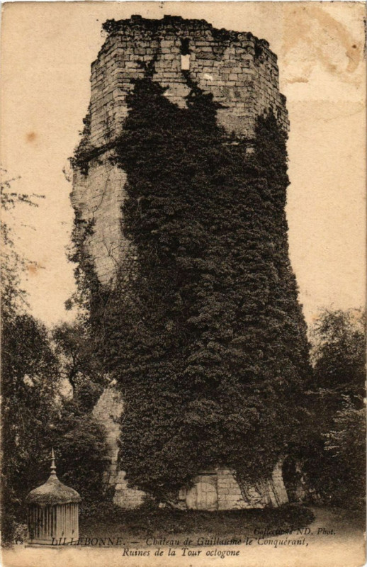 Carte postale ancienne Lillebonne - Chateau de Guillaume - Ruines de la Tour octogone à Lillebonne
