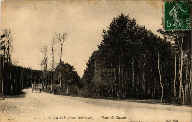 Carte postale ancienne Foret de Roumare - Route du DUCLAIRe à Roumare