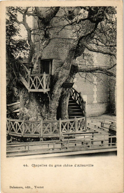 Carte postale ancienne Xhapelles du gros chene s'Allouville