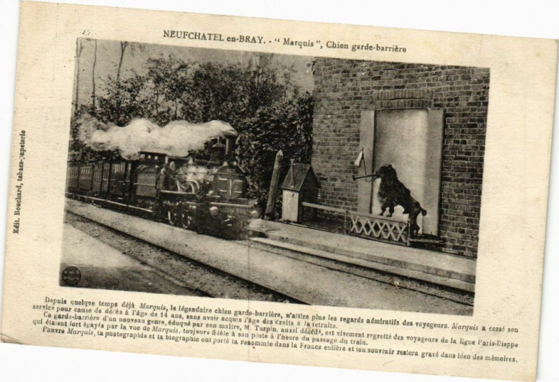 Carte postale ancienne Neufchatel-en-Bray - Marquis Chien garde-barriere à Neufchâtel-en-Bray