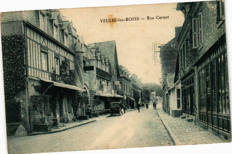 Carte postale ancienne Veules les Roses-Rue Carnot à Veules-les-Roses