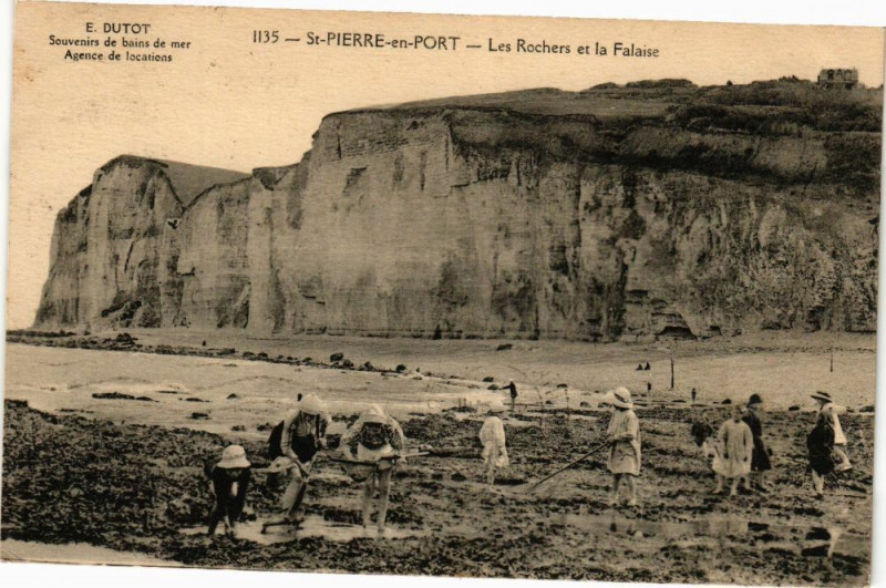 Carte postale ancienne Saint-Pierre-en-Port-Les Rochers et la Falaise à Saint-Pierre-en-Port