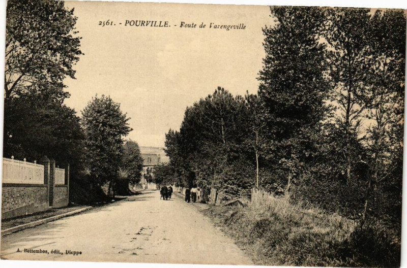 Carte postale ancienne Pourville-Route de Varengeville