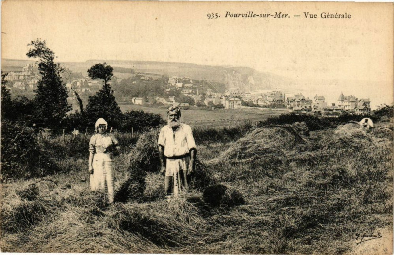 Carte postale ancienne Pourville-sur-Mer-Vue générale