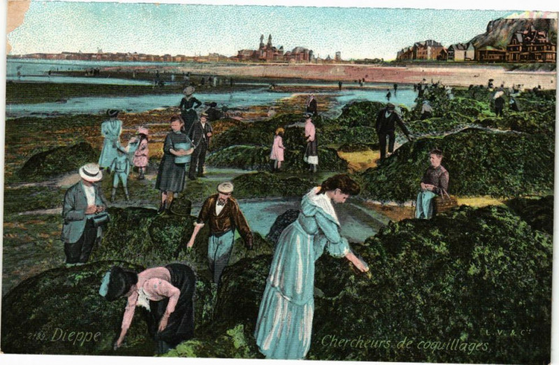Carte postale ancienne Dieppe-Chercheurs de coquillages à Dieppe