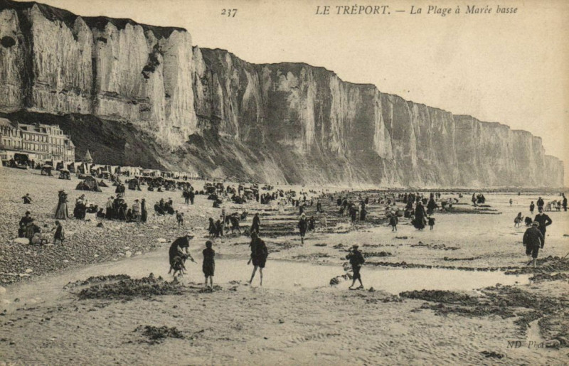 Carte postale ancienne Le Treport - La Plage a Marée Basse au Tréport