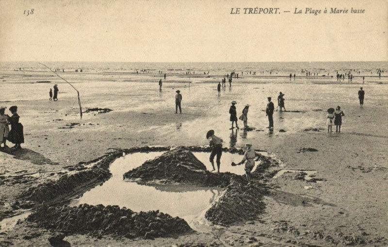 Carte postale ancienne Le Treport - La Plage a Marée basse au Tréport