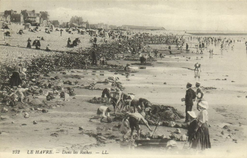 Carte postale ancienne Le Havre - Dans les Roches au Havre