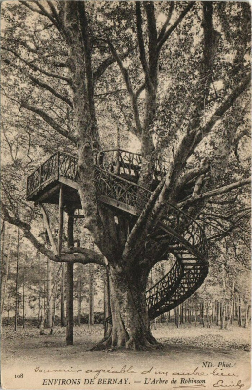 Carte postale ancienne Bernay-L'Arbre de Robinson à Bernay