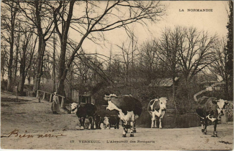 Carte postale ancienne Verneuil Abreuvoir des Remparts