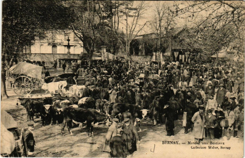 Carte postale ancienne Bernay - Marche aux Bestiaux à Bernay