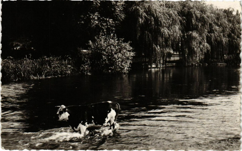 Carte postale ancienne Chambines - Paysage sur l'Eure