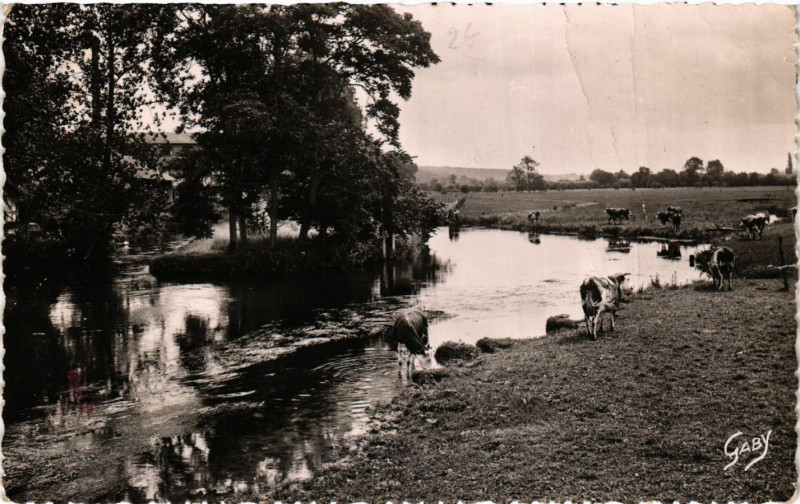 Carte postale ancienne Brionne - La Risle à Brionne