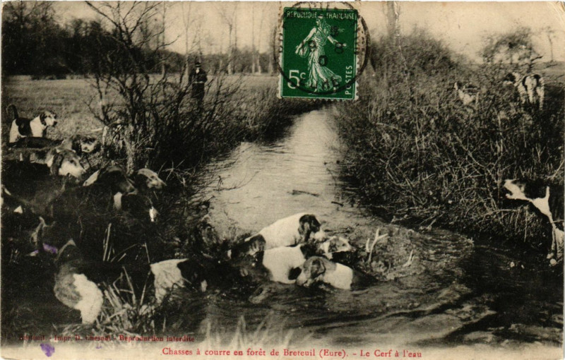 Carte postale ancienne Chasses a courre en foret de Breteuil - Le Cerf a l'eau à Breteuil
