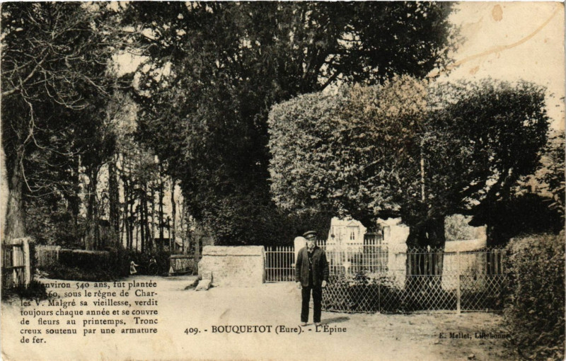 Carte postale ancienne Bouquetot - L'Epine à Bouquetot