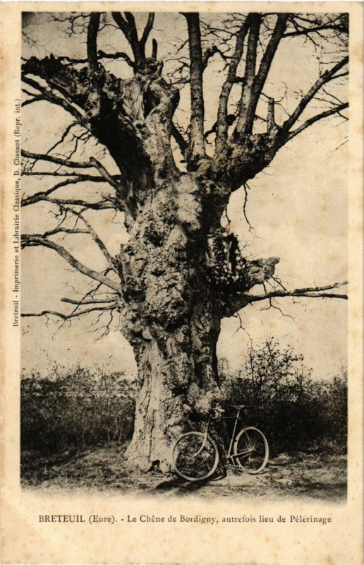 Carte postale ancienne Breteuil - Le Chéne de Bordigny autrefois lieu de Pélegrinage à Breteuil