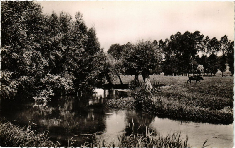 Carte postale ancienne Neaufles-Saint-Martin - Les bords de l'Epte à Neaufles-Saint-Martin