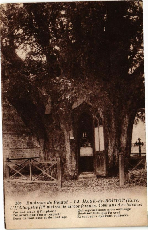 Carte postale ancienne Environs de Routot - La Haye-de-Routot - L'If Chapelle .. à Routot