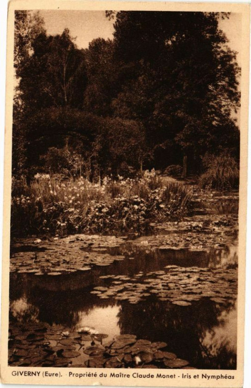 Carte postale ancienne Giverny - Propriété du Maitre Claude Monet - Iris et Nymphé à Giverny