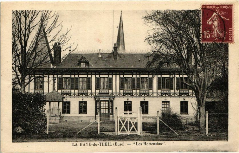 Carte postale ancienne La Haye-du-Theil - Les Hortensias à La Haye-du-Theil