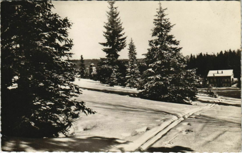 Carte postale ancienne Les Rousses - Sur la Route Blanche aux Rousses