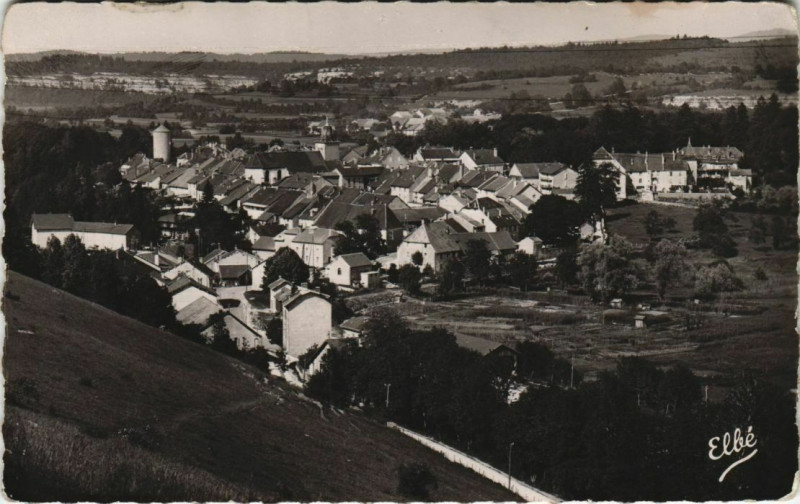 Carte postale ancienne Clairvaux - Vue générale