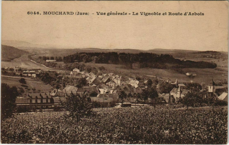 Carte postale ancienne Mouchard - Vue générale Le Vignoble et Route d'Arbois à Mouchard