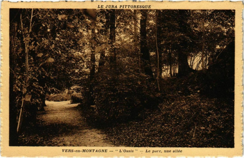 Carte postale ancienne Vers en Montagne- Oasis, Le parc, une allee France à Vers-en-Montagne