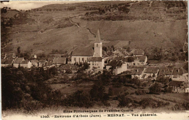 Carte postale ancienne Mesnay- Vue generale France à Mesnay