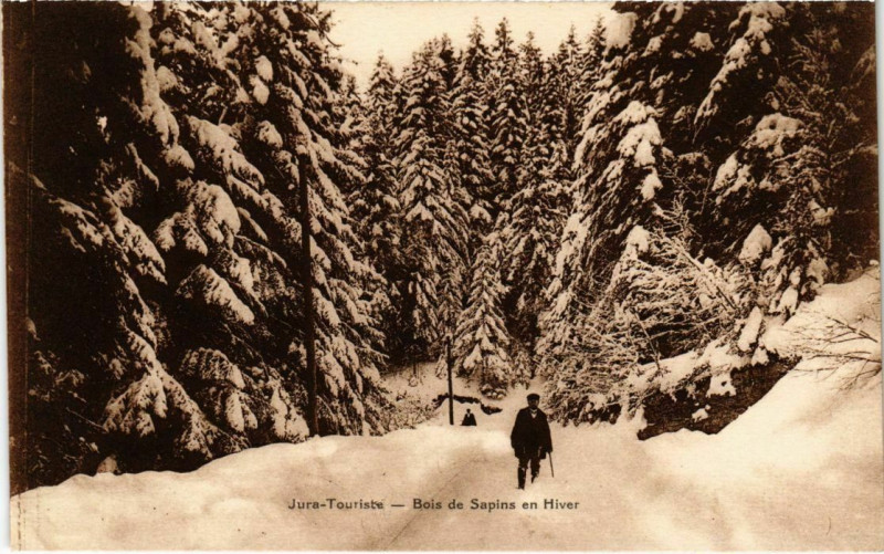 Carte postale ancienne Bois de Sains en Hiver France