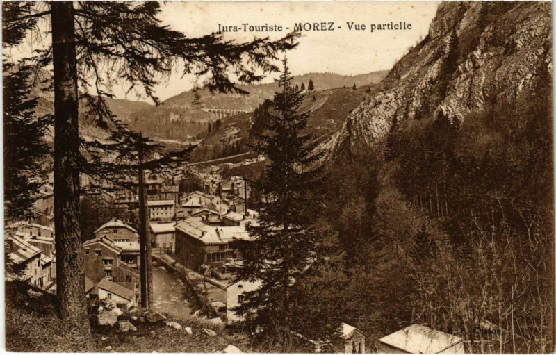 Carte postale ancienne Morez- vue partielle France