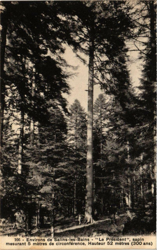 Carte postale ancienne Env. De Salins-les-Bains Le PRESident Sapin à Salins-les-Bains