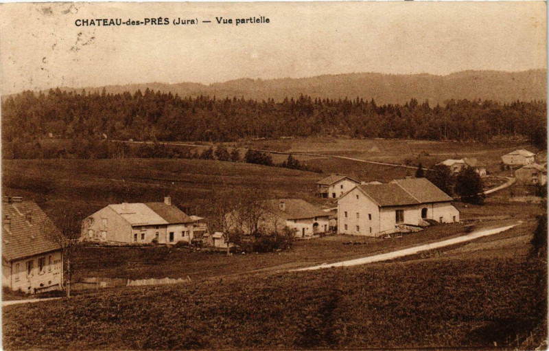 Carte postale ancienne Chateau-des-Pres vue partielle