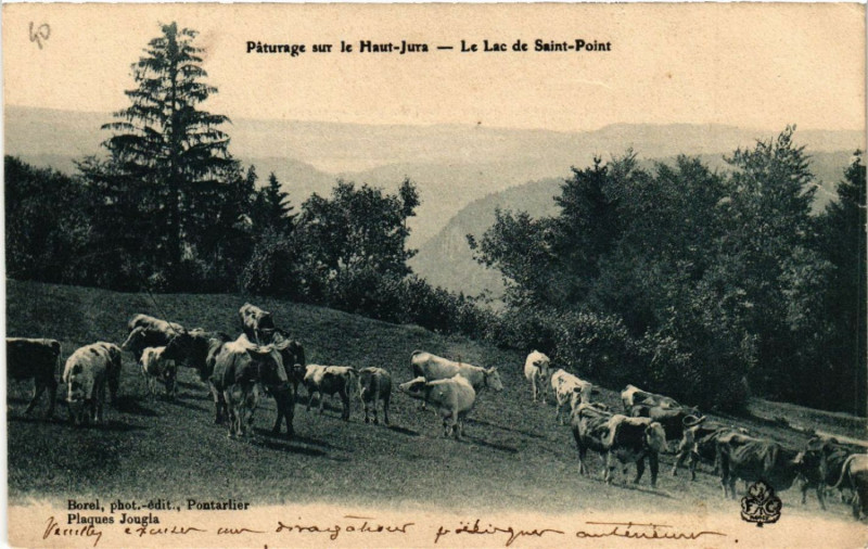 Carte postale ancienne Paturage sur le Haut Jura Le Lac de Saint-Point