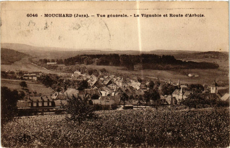 Carte postale ancienne Mouchard Vue générale Le Vignoble et Route d'Arbois à Mouchard