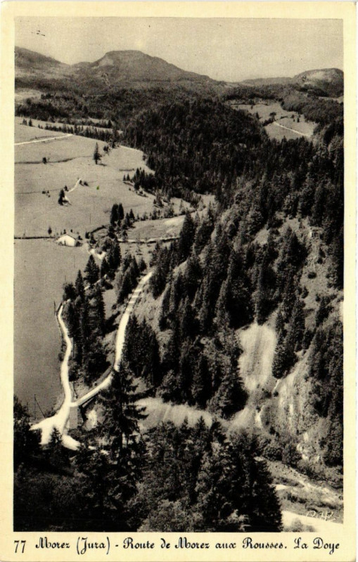 Carte postale ancienne Morez Route de Morez aux Rousses.la Doye à Doye