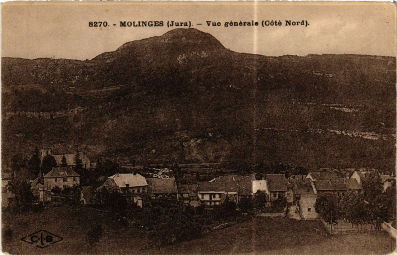 Carte postale ancienne Molinges Vue générale