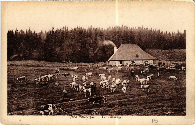 Carte postale ancienne Les Paturages