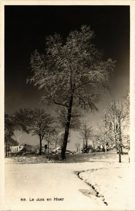 Carte postale ancienne Le Jura en Hiver