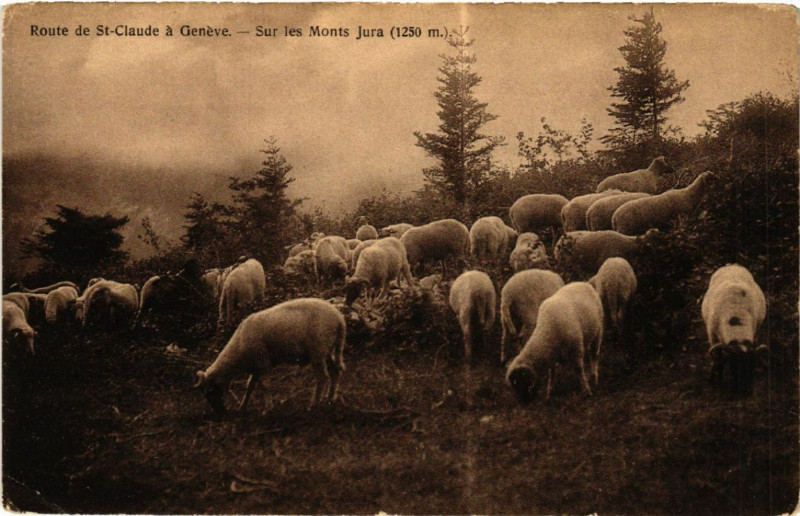 Carte postale ancienne Route de Saint-Claude a Geneve Sur les Monts Jura à Saint-Claude