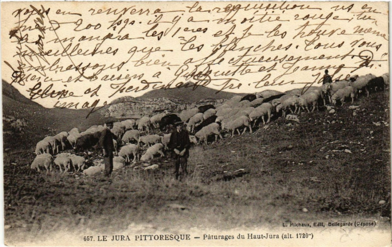 Carte postale ancienne Paturages du Haut Jura